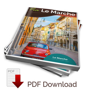 Magazine (PDF download)