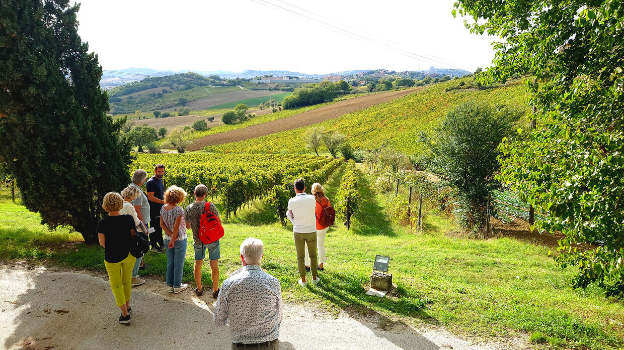 Het wijnhuis van de familie Moroder