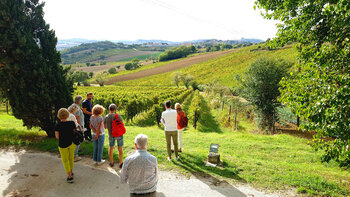 Het wijnhuis van de familie Moroder